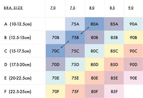 38c breasts|38C bra size: chest and cup measurements, sister。